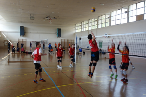 Qualification Championnat de France cadets UNSS Volley Eucalyptus Avril 2016 B