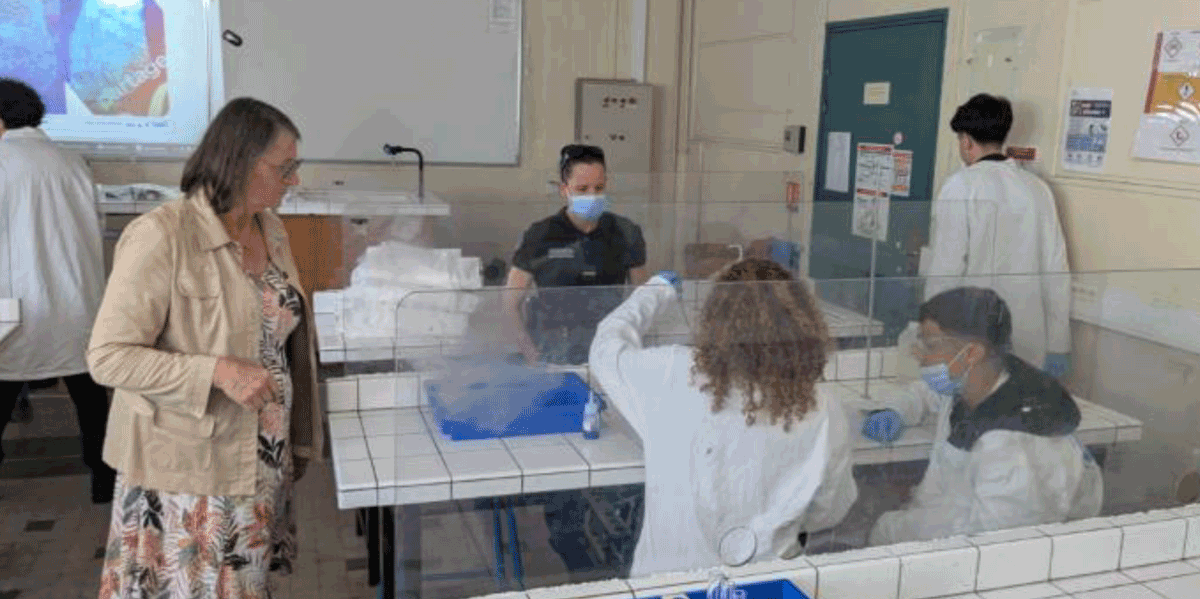 Expert-Ecole-Eucalyptus-2025 (5)